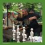 W4H Sommerfest 201618.jpg